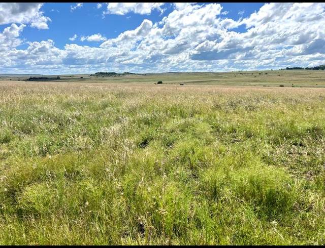 FARM FOR SALE IN LINDLEY